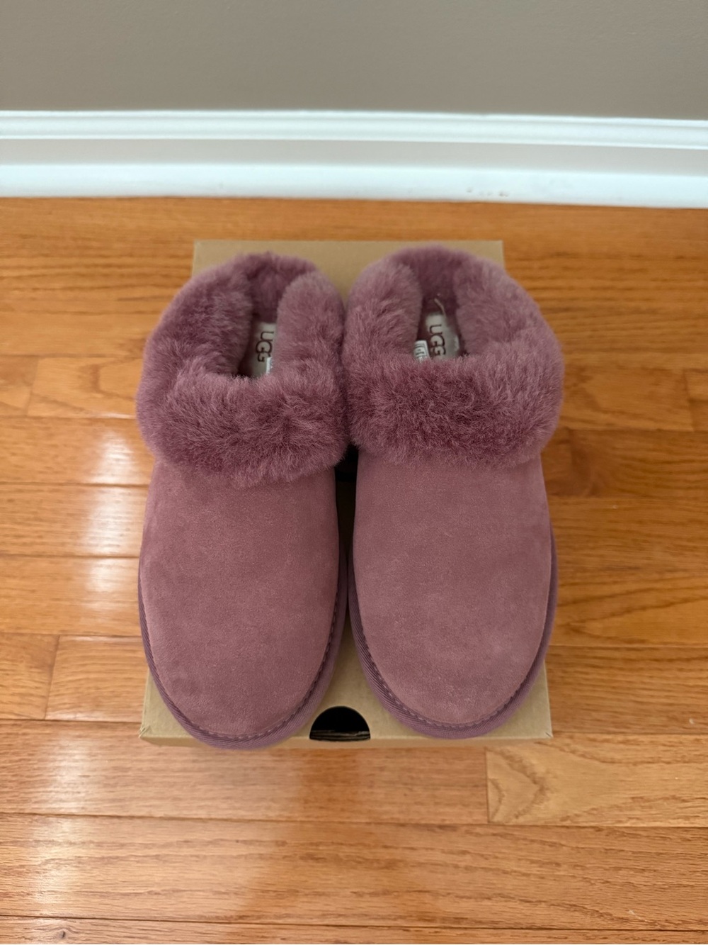 UGG Cluggette Slippers - Picture 2 of 6